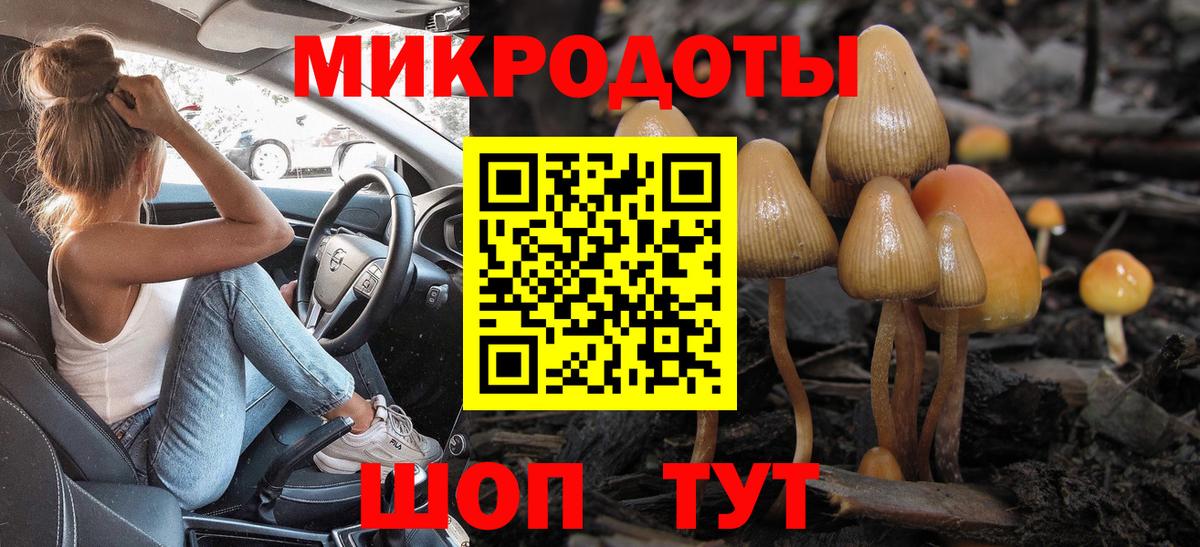 Псилоцибиновые грибы Psilocybine cubensis  наркота  Дмитров  Вход с VPN 