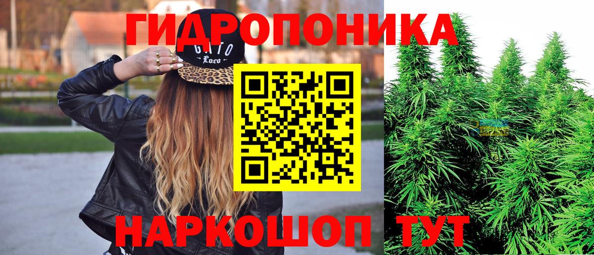 Канабис конопля Дмитров
